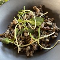 RISOTTO DE HUITLACOCHE - mushroom risotto  at Humo in Tulum