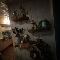   at Wild Craft Eatery in Boone