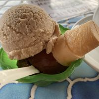 Peanut Butter and Dark Chocolate Gelato  at Made In Rome Organic Gelato in Siesta Key