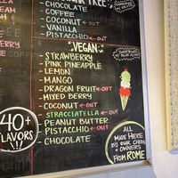 Vegan gelato flavors at the minute  #Veganuary at Made In Rome Organic Gelato in Siesta Key