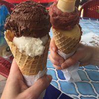 Lots of vegan gelato and sorbet options! at Made In Rome Organic Gelato in Siesta Key