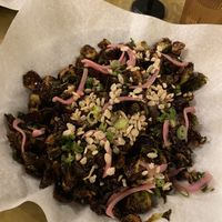 Brussel sprouts   at Modern Times Far West Lounge in Encinitas