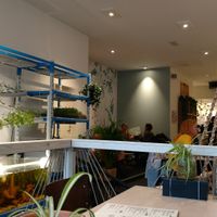 Restaurant at Sync-Ok in Deventer