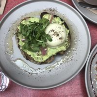 Avo toast with ‘egg' at Sacred Grounds in Exeter