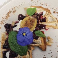   at Sacred Grounds in Exeter