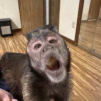   at Taste of Thai in East Lansing