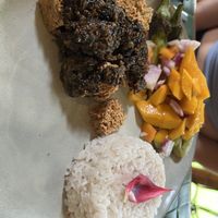 Forest Binagoongan  at Fox and the Firefly in Bohol