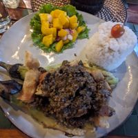 Forest binagoongan at Fox and the Firefly in Bohol