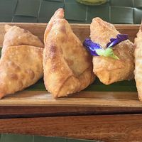   at Fox and the Firefly in Bohol