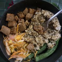 A veganised Filipino dish with soy protein 🌱   at Fox and the Firefly in Bohol