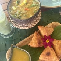   at Fox and the Firefly in Bohol