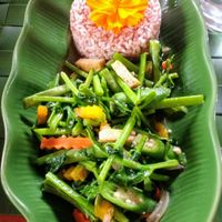 Rice with veggies and tofu. at Fox and the Firefly in Bohol