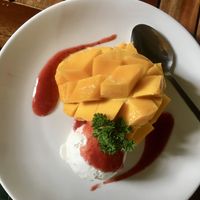 Coconut ice cream with mango  at Fox and the Firefly in Bohol