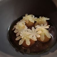  at Seven Swans in Frankfurt