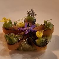  at Seven Swans in Frankfurt