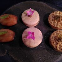  at Seven Swans in Frankfurt