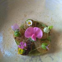  at Seven Swans in Frankfurt