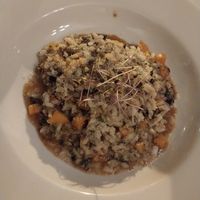 Butternut Squash Risotto (veganized) at Maldaner's in Springfield