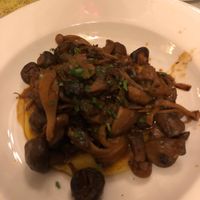 Mushroom Ragu with Polenta  at Maldaner's in Springfield