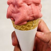   at IKEA - Möbelvaruhus in Malmo