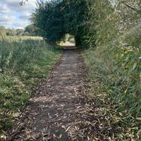 Nearby walk at The Ark in Northampton