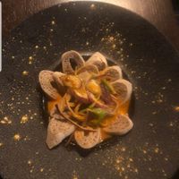 Syro at Abyssinia in Strasbourg