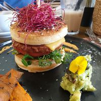 Protein stack burger at Mr. Stacks in Amsterdam