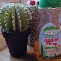 Agave pancake syrup at each table (but didn't need it!) at Mr. Stacks in Amsterdam