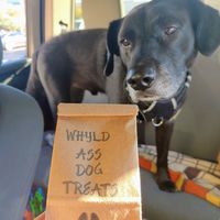 Dog treats! at Whyld Ass in Phoenix