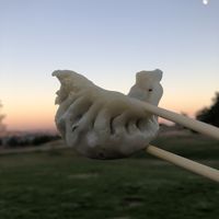 Bok Choi potsticker at Pine & Crane in Los Angeles