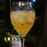 Lemongrass kombucha at Surplus in Siem Reap