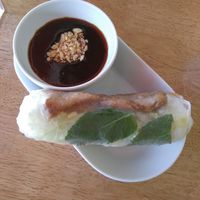 Rice paper roll with hoisin dipping sauce at VG Wok in Helsinki