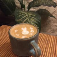 Café  at Ecos del Mundo in Mexico City