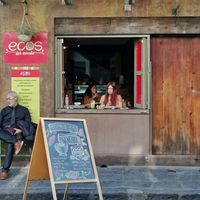 Un jueves soleado en ecos at Ecos del Mundo in Mexico City