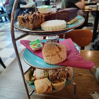  at Fron Goch Garden Centre in Caernarfon