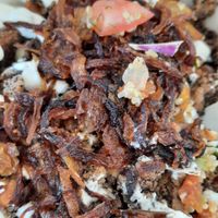  at Koshary Corner in Clarksville