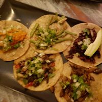 Vegan tacos (5 different types) at La Madrisima in Toledo
