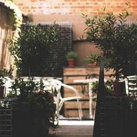 Outdoor accessible through the restaurant  at Divino in Brussels