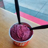 Marionberry Coconut Sherbet at Salt & Straw in San Francisco