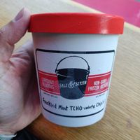 Freckled Mint Chocolate Chip at Salt & Straw in San Francisco