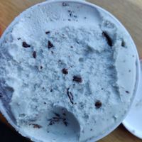 Freckled Mint Chocolate Chip at Salt & Straw in San Francisco