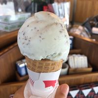 Freckled Mint TCHO-colate Chip ice cream at Salt & Straw in San Francisco