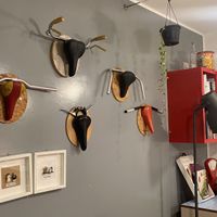 Decorazioni   at Zucchero a Velo in Ancona