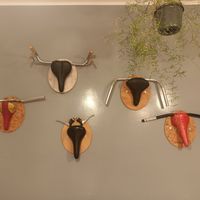  at Zucchero a Velo in Ancona