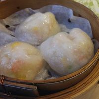 Dumplings at Zen Buddha in North West London