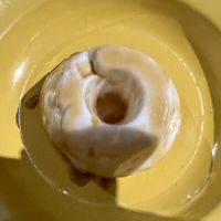 Manjar de côco, coconut pudim   at Cafe do Alto in Rio De Janeiro