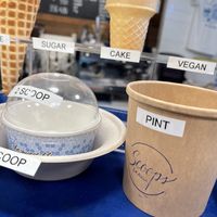 vegan cones!   at Scoops in La Jolla