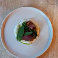  at Bonboon in Amsterdam