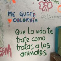   at Namaste Vegan Food in Guatape