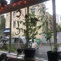 Recycle  at Bonnington Cafe in South West London